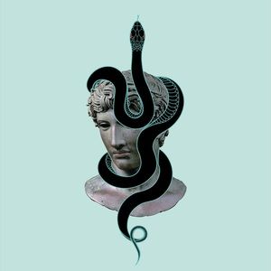 Meet your Posher, Rejhan